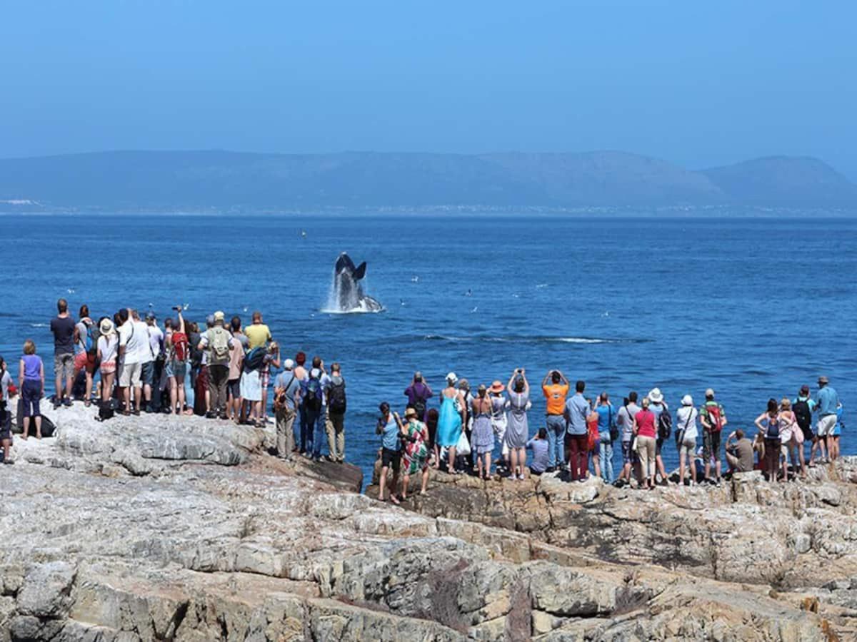 Hermanus Waterfront Apartment ห้อง รูปภาพ